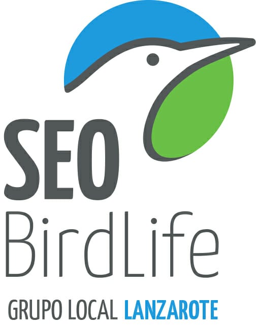 SEO BirdLife GRUPO LOCAL LANZAROTE